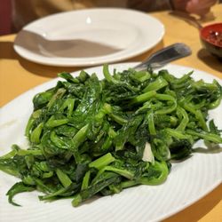 China Pavilion - Seasonal snow pea tips sautéed with garlic