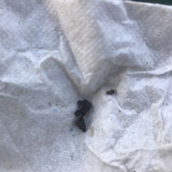Carl's Jr - Rat dropping found in cheeseburger - Fast Food Near Me - Temecula, California