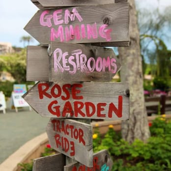 The Flower Fields - Venues & Event Spaces Near Me - Carlsbad, California The Flower Fields - Venues & Event Spaces Near Me - Carlsbad, California