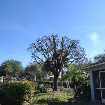 Abraham Landscaping - Landscape Architects or Designers Near Me - Naples, Florida