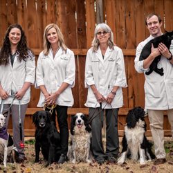 Southern Hills Animal Hospital