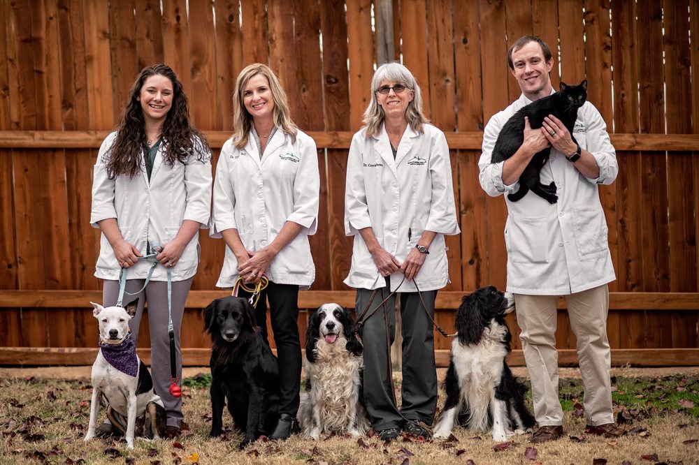 SOUTHERN HILLS ANIMAL HOSPITAL Updated May 2024 13 Photos 641