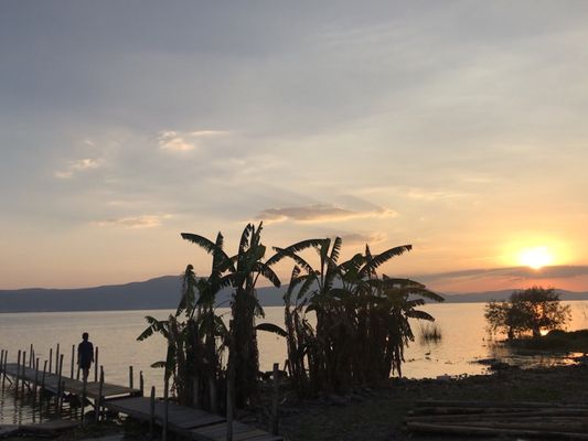 Chapala by null