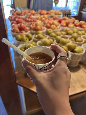 Solebury Orchards by null