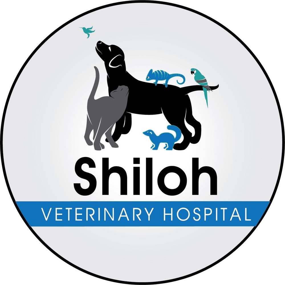 SHILOH VETERINARY HOSPITAL Updated September 2024 34 Photos & 12 Reviews 345 S Shiloh Rd