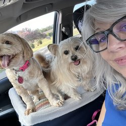 US Post Office - Droppin' off mail with the littles