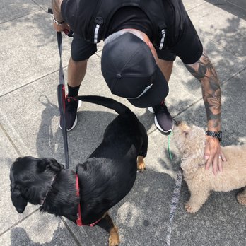K9pdx - Max saying goodbye to Darrin - Dog Walkers Near Me - Portland, Oregon K9pdx - Max saying goodbye to Darrin - Dog Walkers Near Me - Portland, Oregon