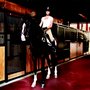 New York Equestrian Center