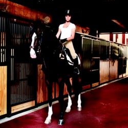 New York Equestrian Center - New York Equestrian Center