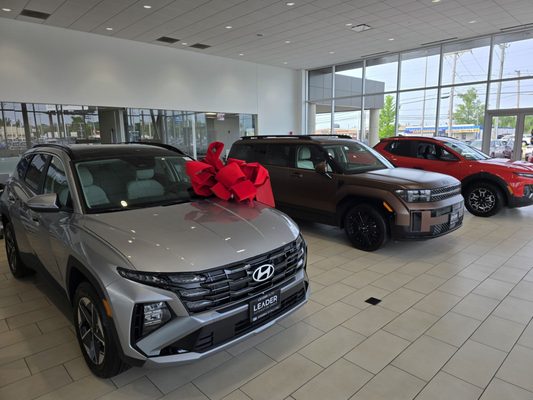 Hyundai Of Palatine Reviews