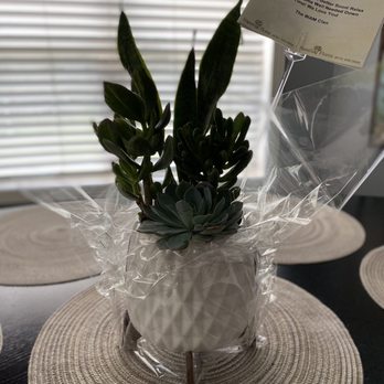 Plainfield Florist - Succulent and Cacti. Prefers slightly dry soil and bright sunlight. Ceramic vase is simple and elegant - Florists Near Me - Plainfield, Illinois