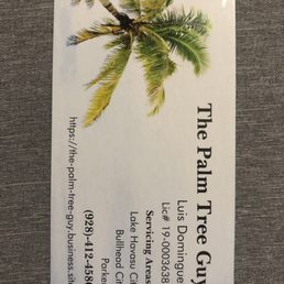 the palm tree guy