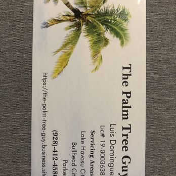 The Palm Tree Guy - the palm tree guy - Tree Services Near Me