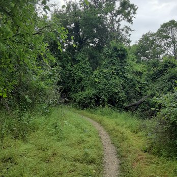 Taylor Park Campground - Campgrounds Near Me - Taylor, Texas
