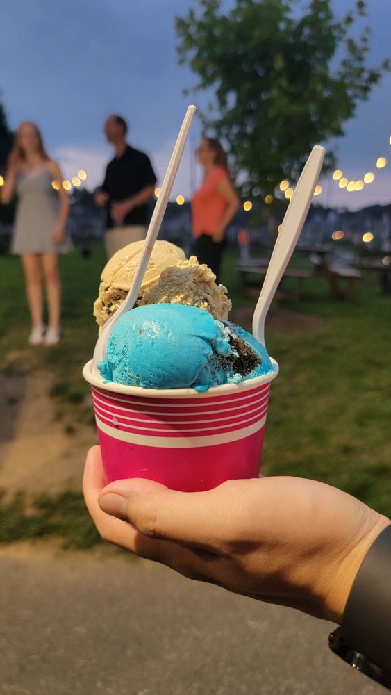 The Icecream Yard Logo