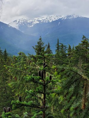 Ziptrek Ecotours by null