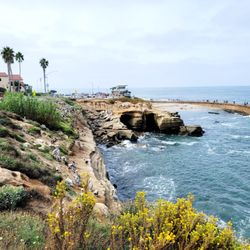 Coast Walk Trail