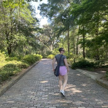Alfred B  Maclay Gardens State Park - Parks Near Me - Tallahassee, Florida