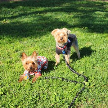 Pawsible - Pet Training Near Me - Los Angeles, California Pawsible - Pet Training Near Me - Los Angeles, California