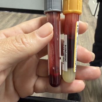 Phlebotomy Plus - Ow nice:-) - Vocational & Technical School Near Me - Brentwood, California