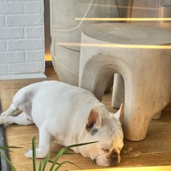Bespoke Home + Life