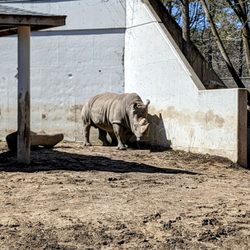 Henry Vilas Park Zoo