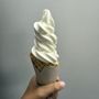 The Ice Cream Patch at Holder Hill Farm
