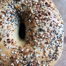 Our Daily Bagel - Everything bagel