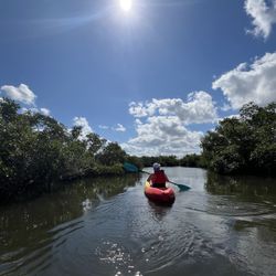 Cape Coral Kayak - Paddling the mangroves!