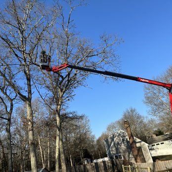 Matt Mitko Expert Tree Climber - Matt using his track lift, extending in to an area that we couldn't get the lift too - Tree Services Near Me