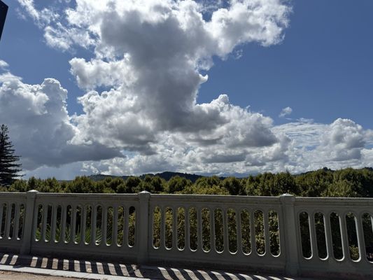 Le Poulet à 3 Pattes by null