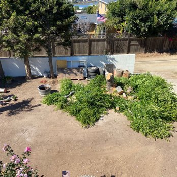 Active Landscape And Tree Service - Tree Services Near Me Active Landscape And Tree Service - Tree Services Near Me
