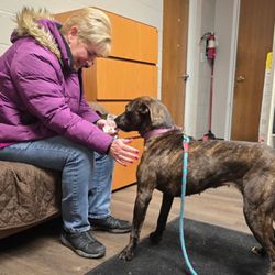 Gateway Pet Guardians - Meet and greet