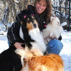 Cindy Mauro Dog Training - Cindy Mauro Dog Training