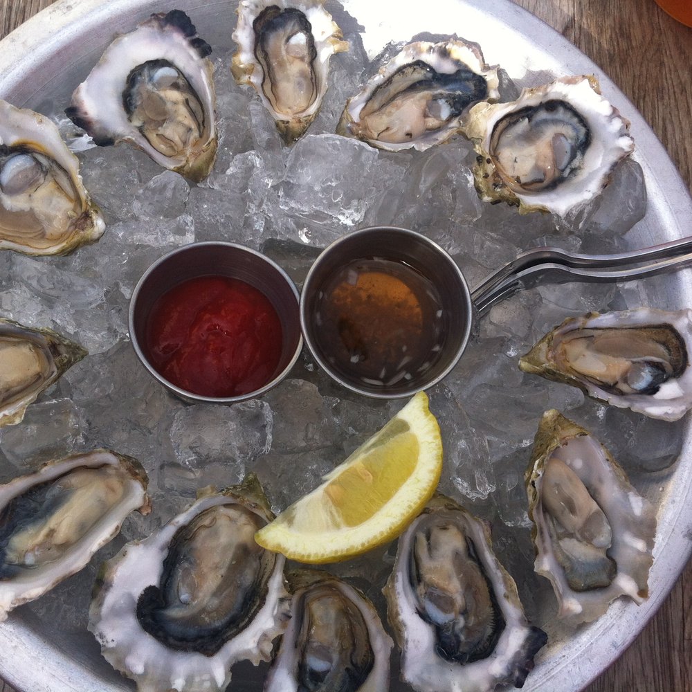 Fish 101 - Hello beaut-ifuls - Seafood Near Me - Encinitas, California Fish 101 - Hello beaut-ifuls - Seafood Near Me - Encinitas, California
