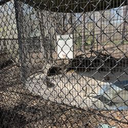 Dauset Trails Nature Center