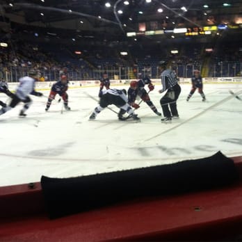 Reading Royals - Professional Sports Teams Near Me - Reading, Pennsylvania