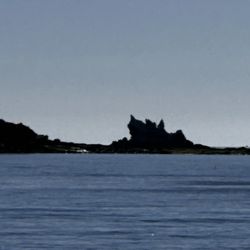 Spear America - Baja secret spot