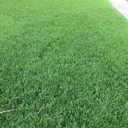 Green Bee just aerated the yard! My yard looks awesome! Green Bee just aerated the yard! My yard looks awesome!