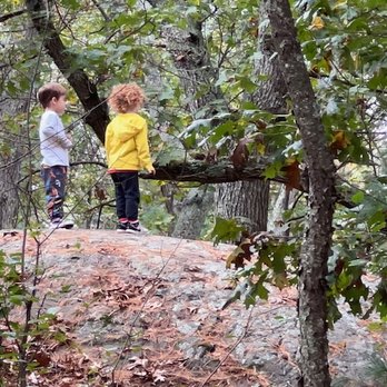 Billy Dalwin Preschool - Preschools Near Me - Lexington, Massachusetts