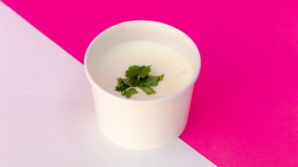 The Queso Shop by null