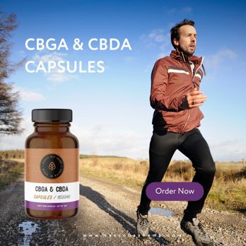 Casco Bay Hemp - Cannabis Dispensaries Near Me - Biddeford, Maine Casco Bay Hemp - Cannabis Dispensaries Near Me - Biddeford, Maine