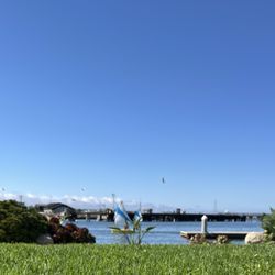 Redwood Water Sports - Dock