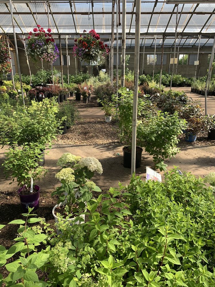 Green Acres Garden Center Calgary Fasci Garden