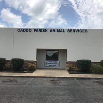 Paws 4 Life - Animal Shelters Near Me Paws 4 Life - Animal Shelters Near Me