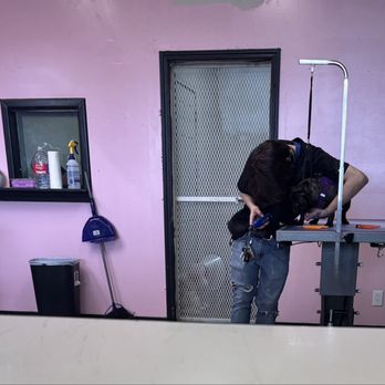 Affordable Pet Grooming - Inside - Pet Groomers Near Me - San Antonio, Texas Affordable Pet Grooming - Inside - Pet Groomers Near Me - San Antonio, Texas