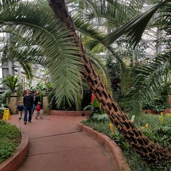 Garfield Park Conservatory - Beautiful Path - Parks Near Me - Chicago, Illinois