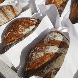 Sun Street Breads