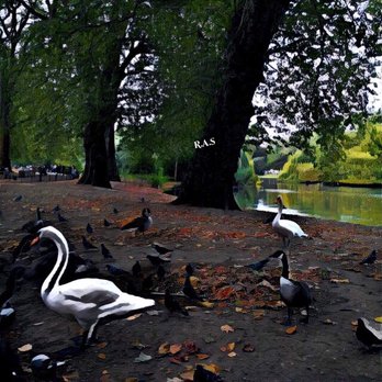 Hyde Park - Parks Near Me