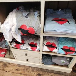 Live Water Surf Shop